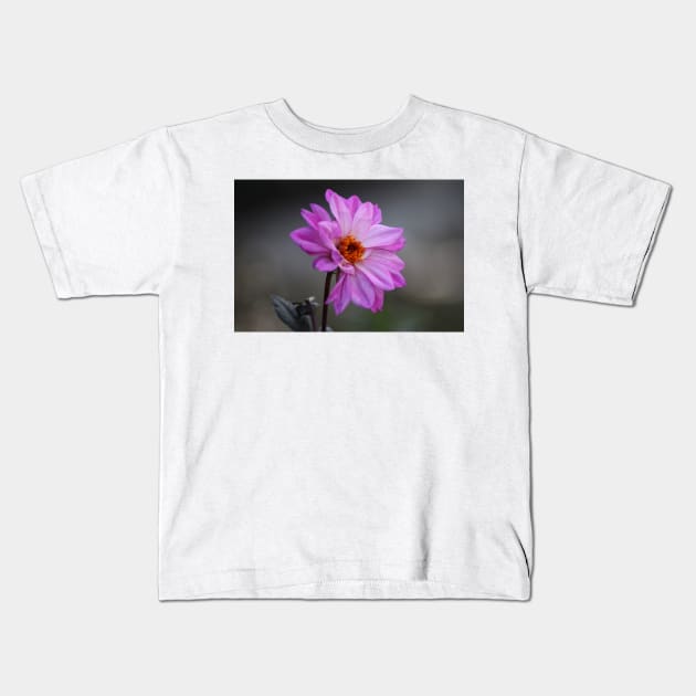 Purple Daisy Kids T-Shirt by Cynthia48